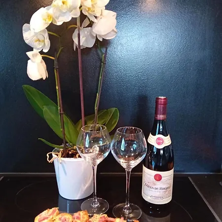 公寓 Le Clos Lassagne A - Lyon Sud *