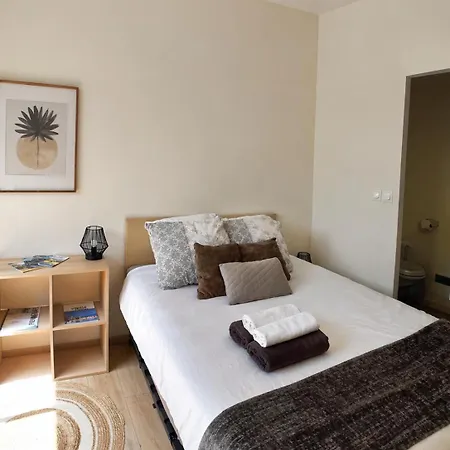 Le Clos Lassagne -terrasse Privative - Climatisation - Lyon Sud -